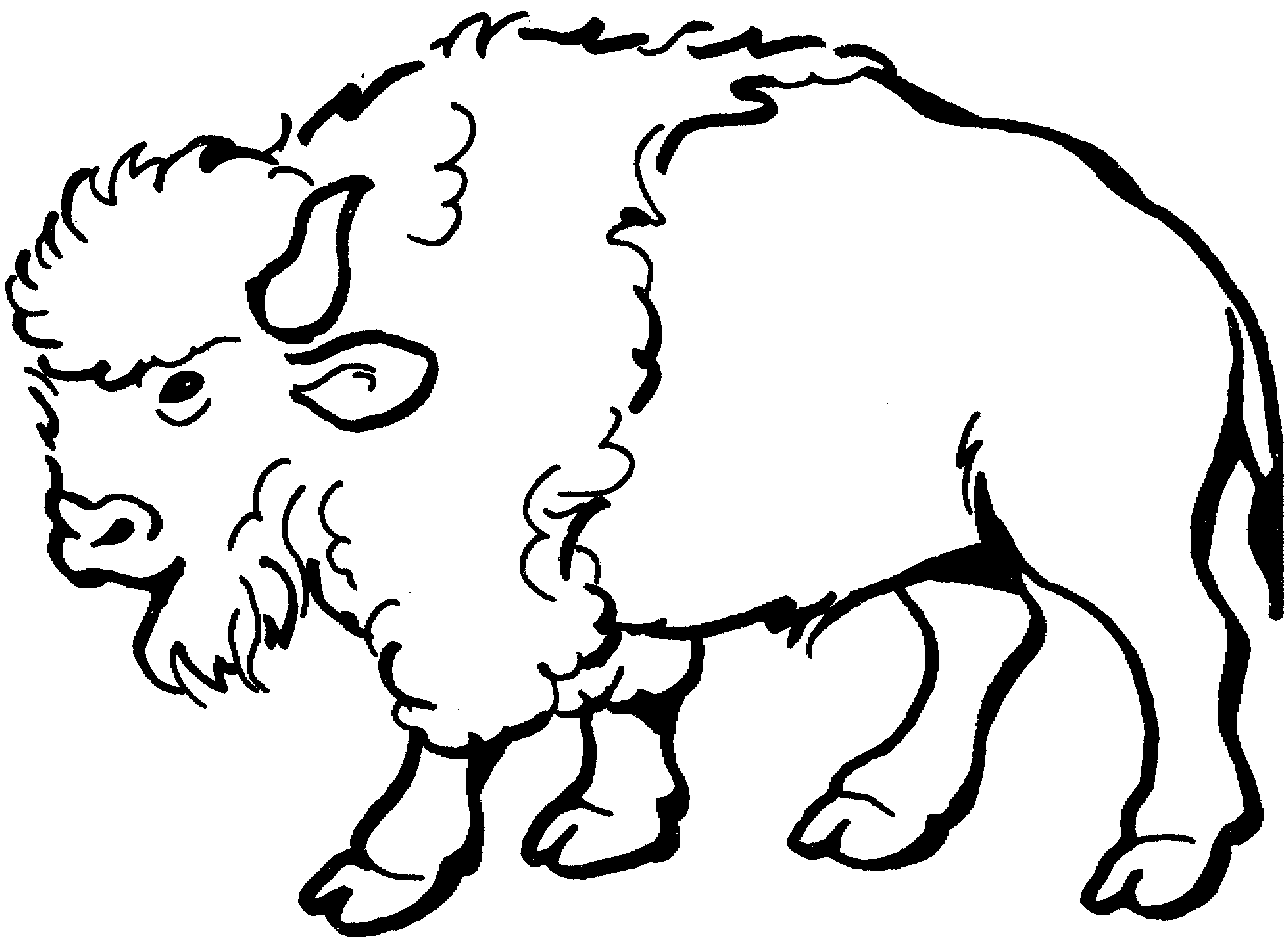 buffalo-coloring-page-0017-q1