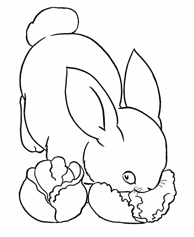 bunny-coloring-page-0013-q1