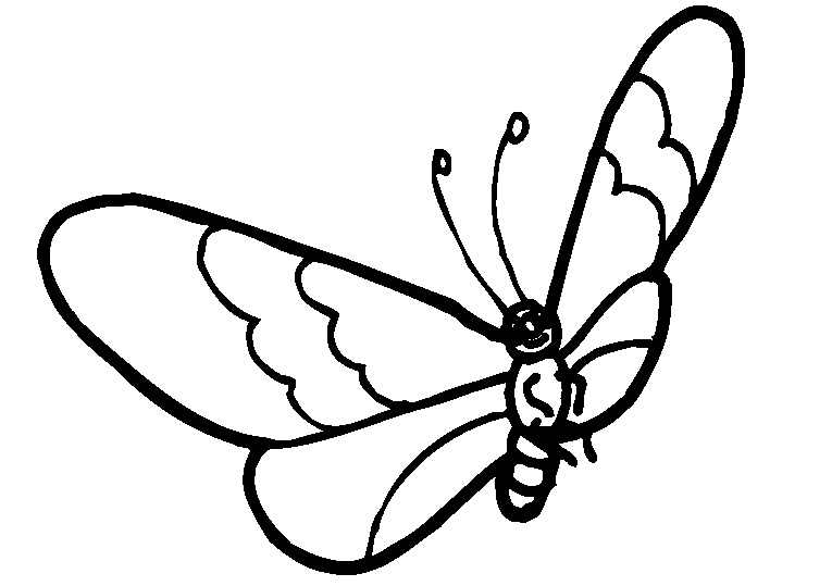 butterfly-coloring-page-0003-q3