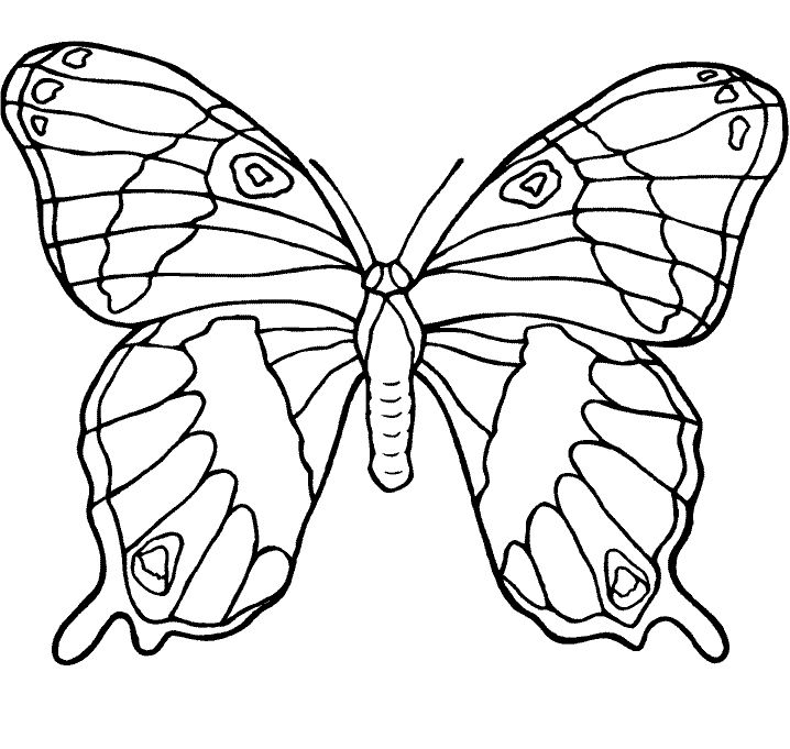 butterfly-coloring-page-0029-q1