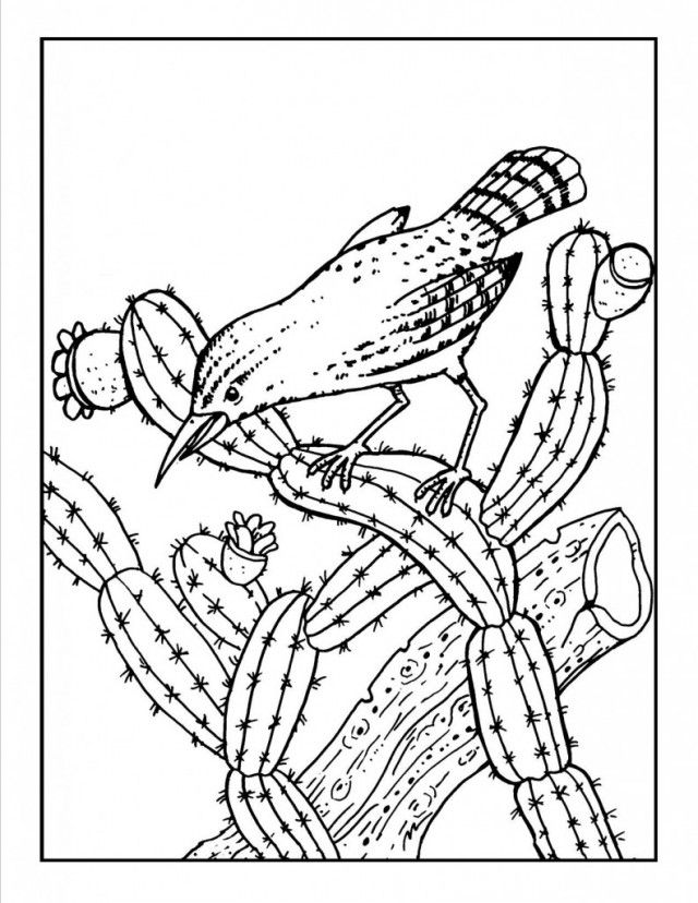 cactus-coloring-page-0006-q1