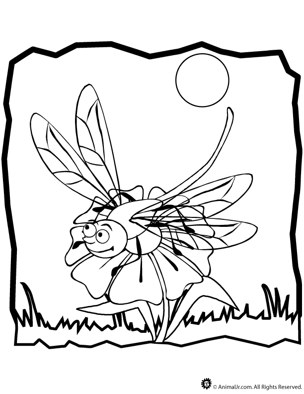 dragonfly-coloring-page-0032-q1