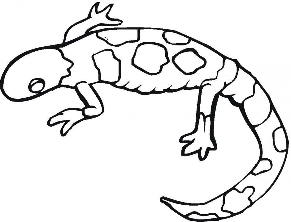 gecko-coloring-page-0013-q1