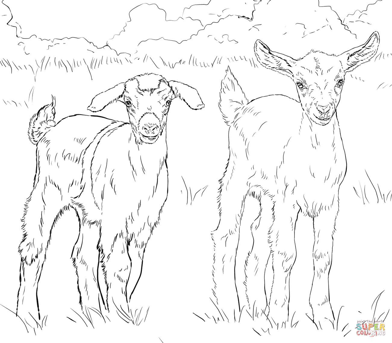 goat-coloring-page-0018-q1