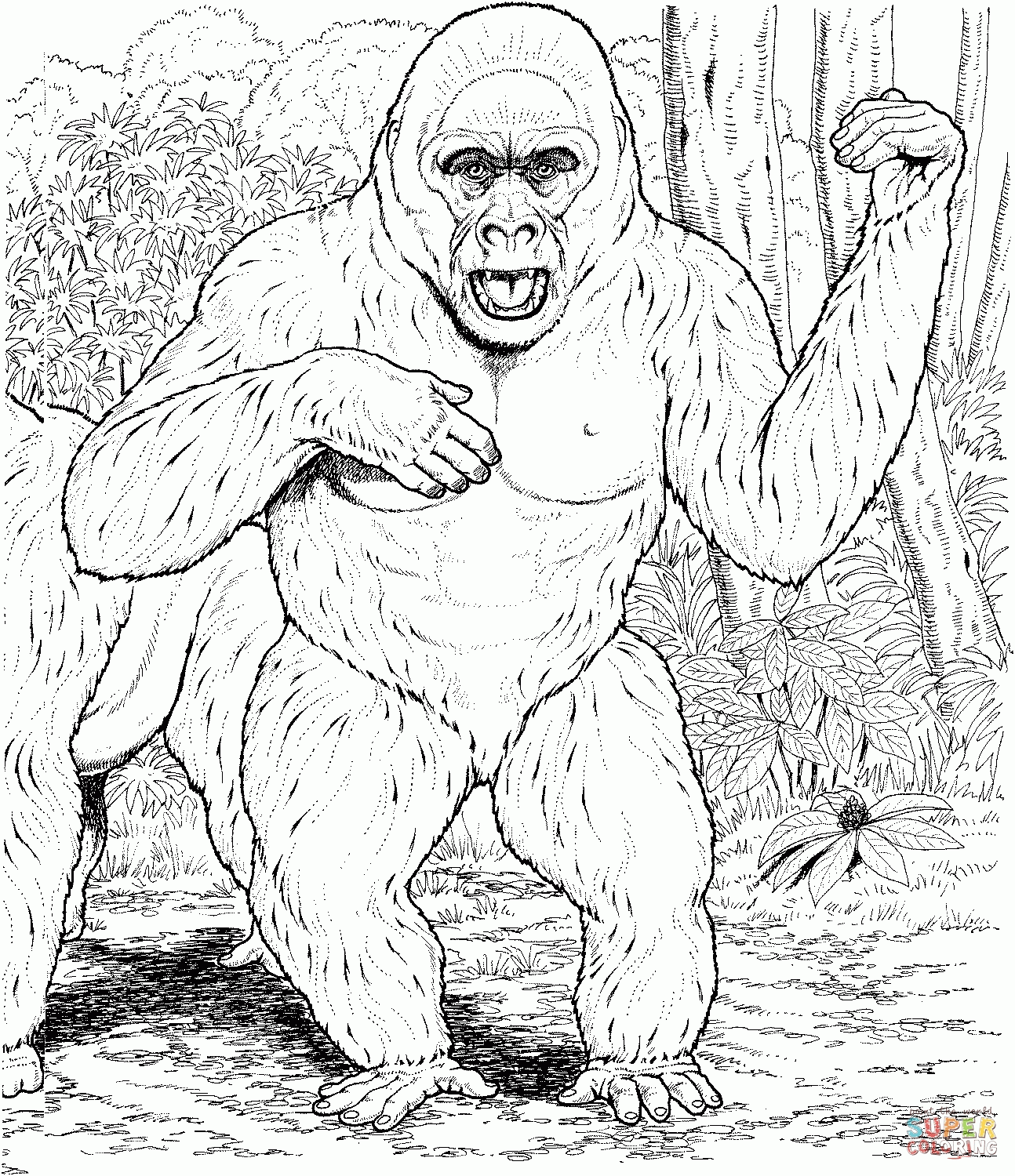 gorilla-coloring-page-0005-q1