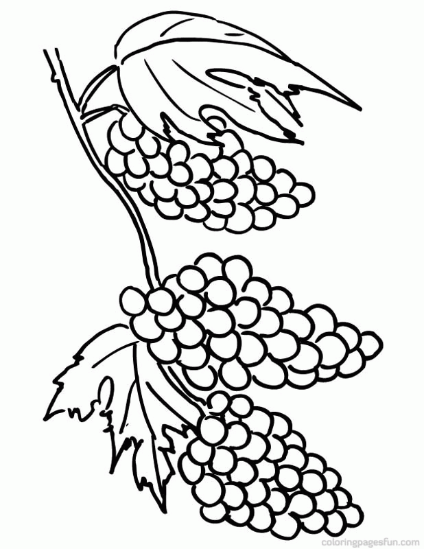 grapes-coloring-page-0005-q1