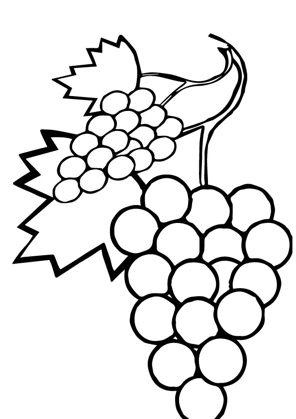 grapes-coloring-page-0019-q2