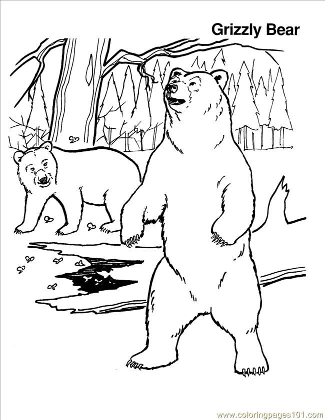 grizzly-bear-coloring-page-0016-q1