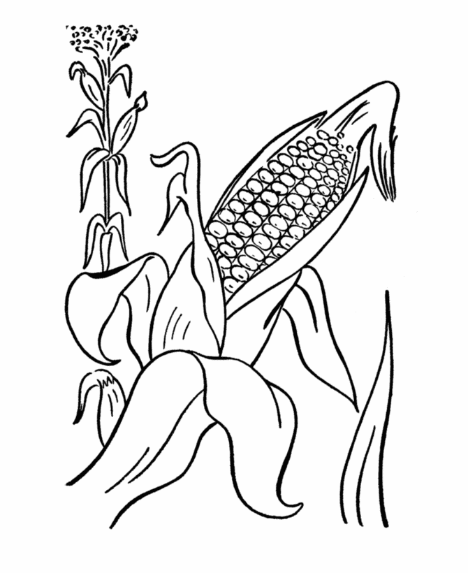 harvest-coloring-page-0038-q1