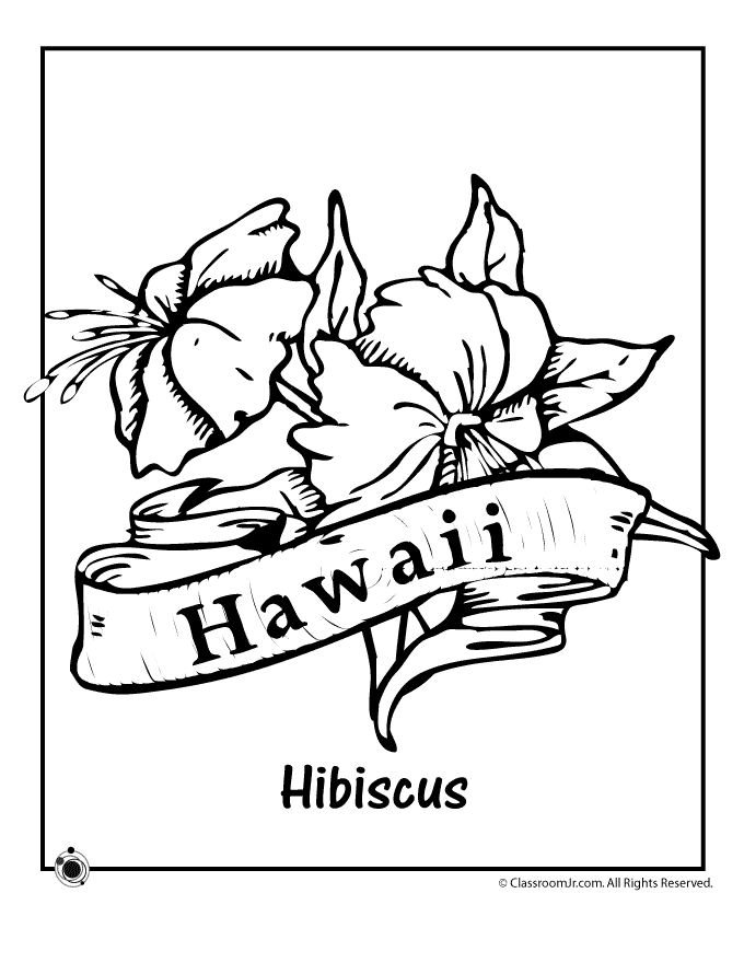 hawaii-coloring-page-0044-q1