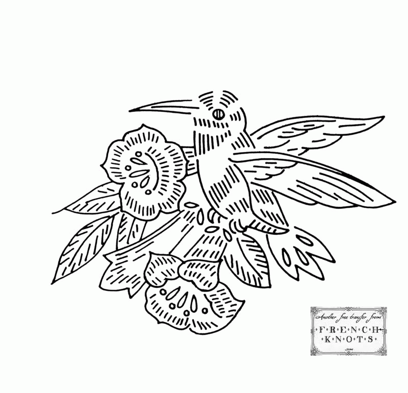 hummingbird-coloring-page-0003-q1