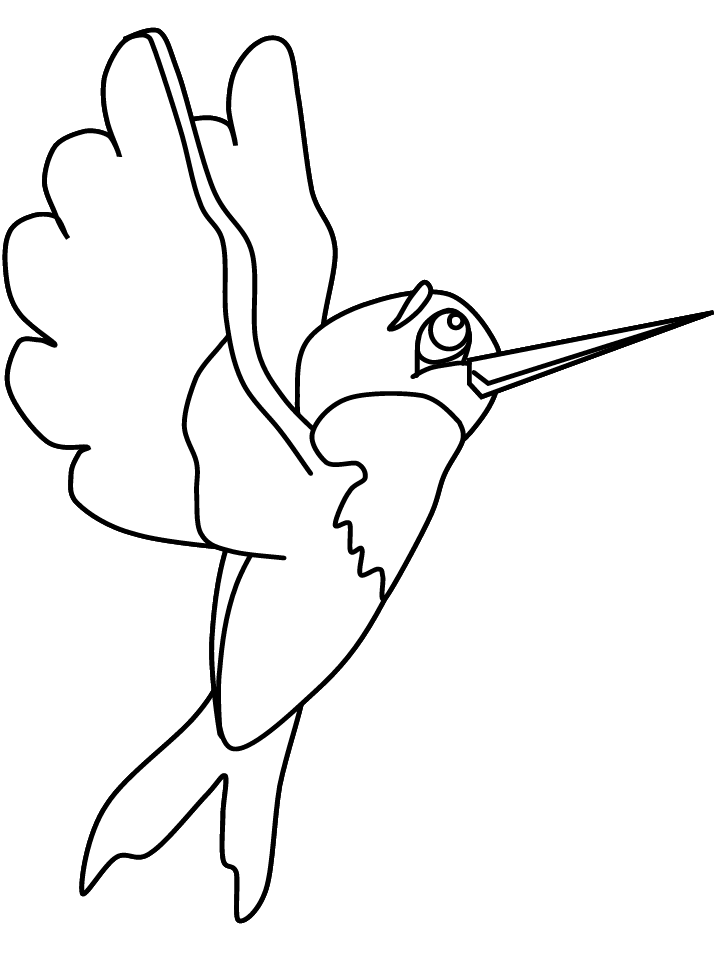 hummingbird-coloring-page-0027-q1