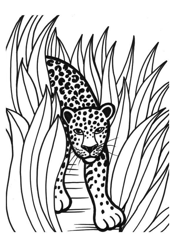 leopard-coloring-page-0023-q2