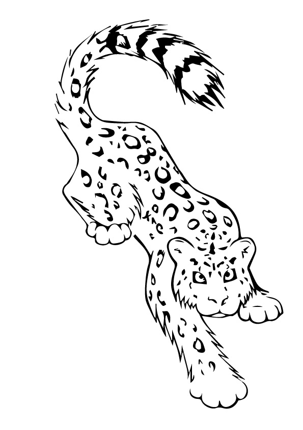 leopard-coloring-page-0032-q2