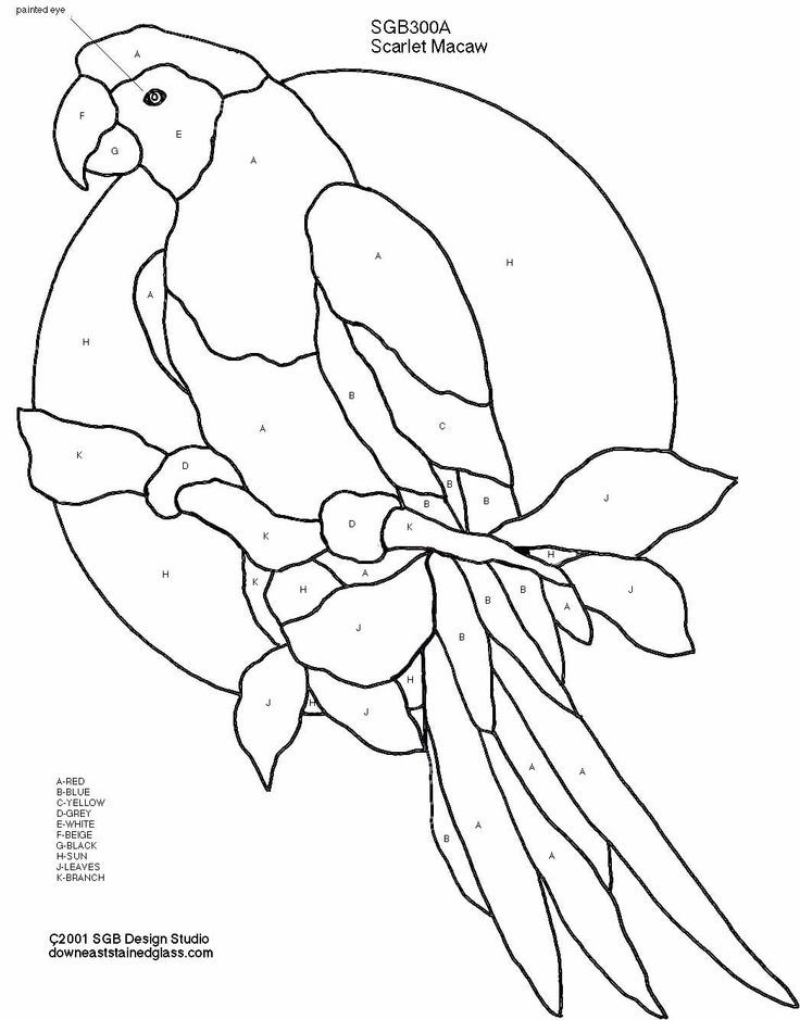 macaw-coloring-page-0010-q1