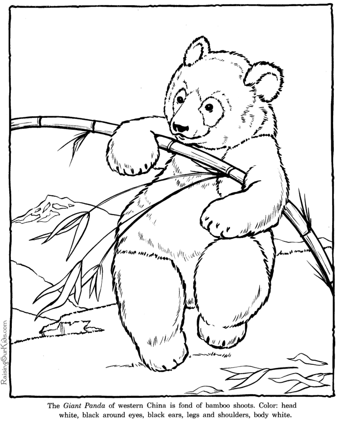 panda-coloring-page-0029-q1