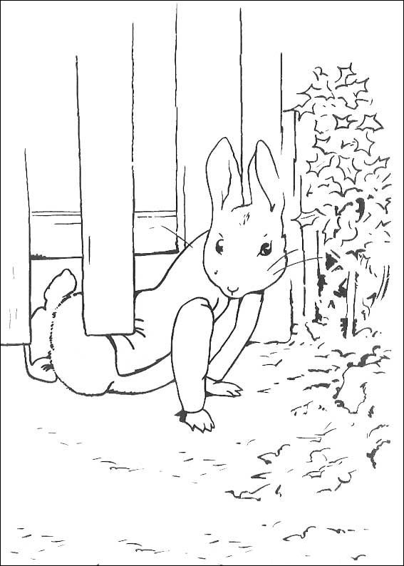 peter-rabbit-coloring-page-0027-q5