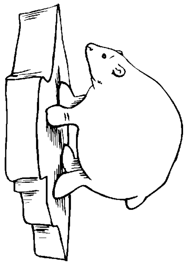 polar-bear-coloring-page-0009-q1