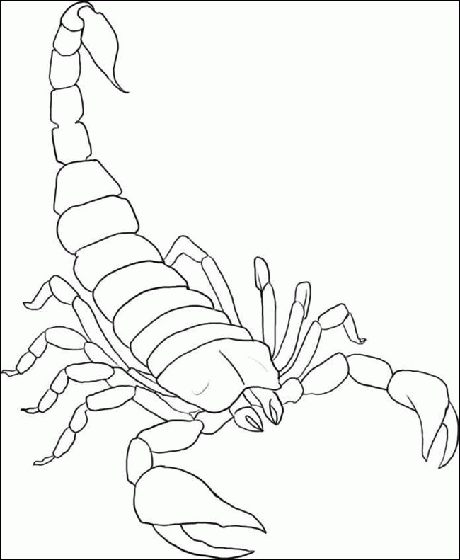 scorpion-coloring-page-0009-q1