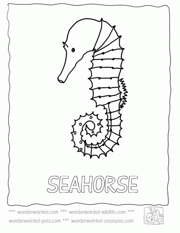 seahorse-coloring-page-0031-q1