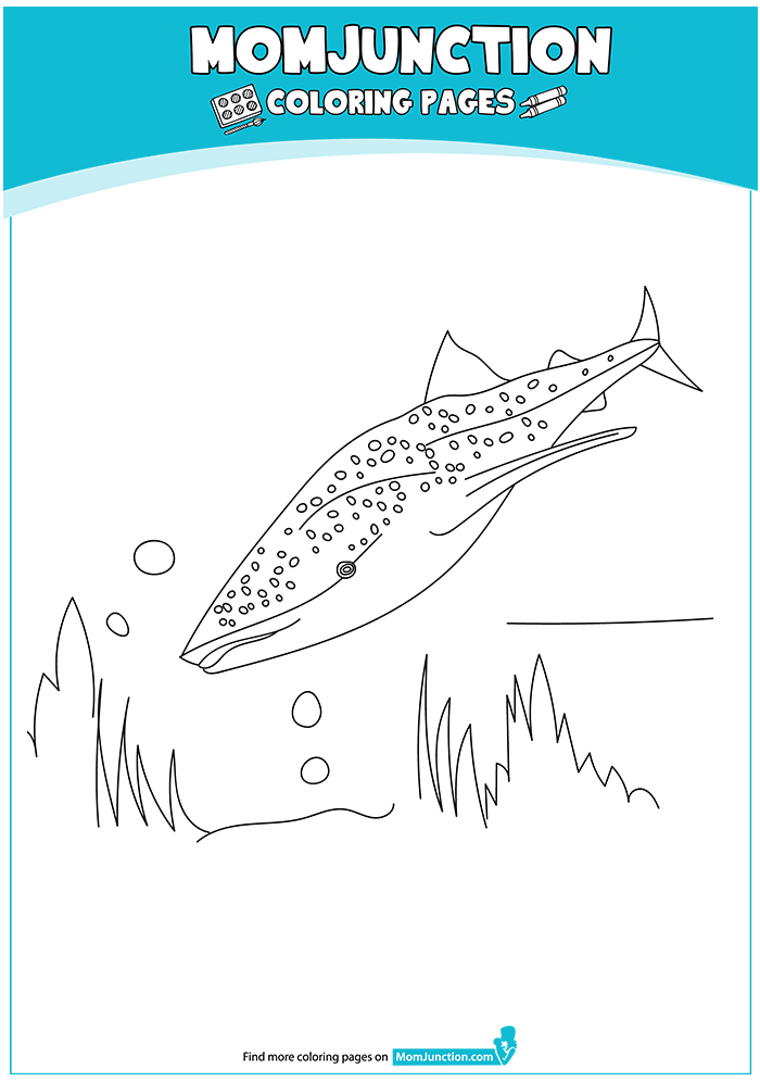 shark-coloring-page-0001-q2