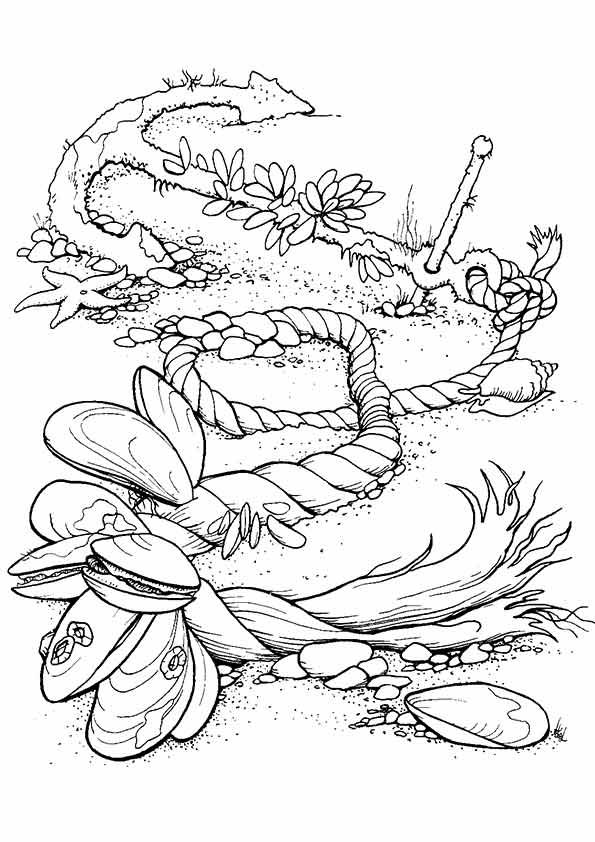under-the-sea-and-underwater-coloring-page-0030-q2
