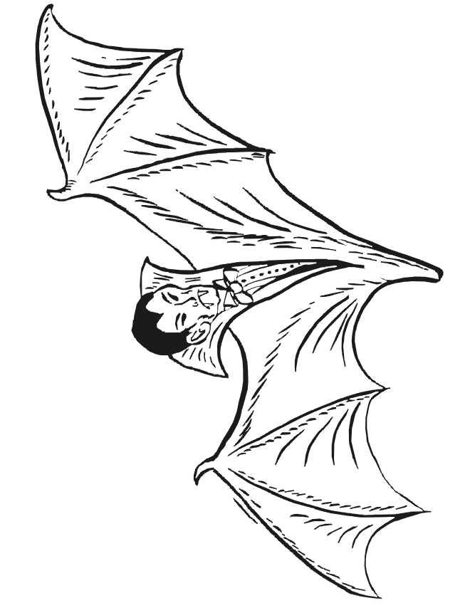 bat-coloring-page-0023-q1