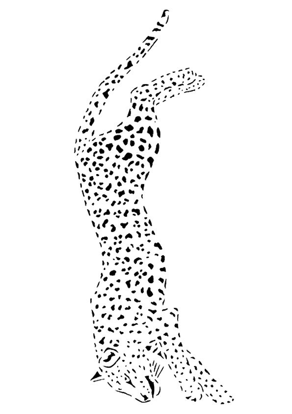 cheetah-coloring-page-0032-q2