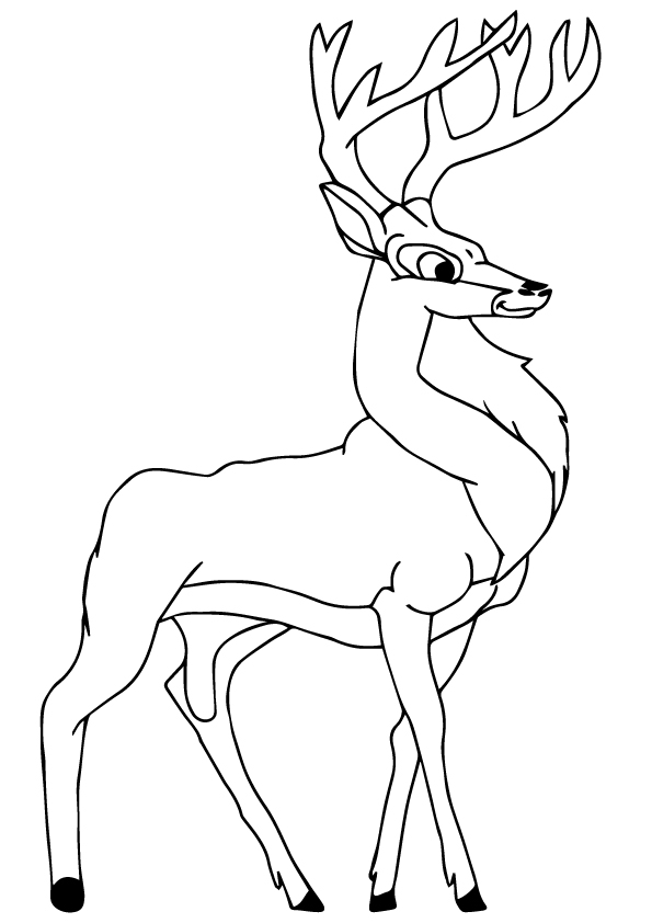 deer-coloring-page-0031-q2