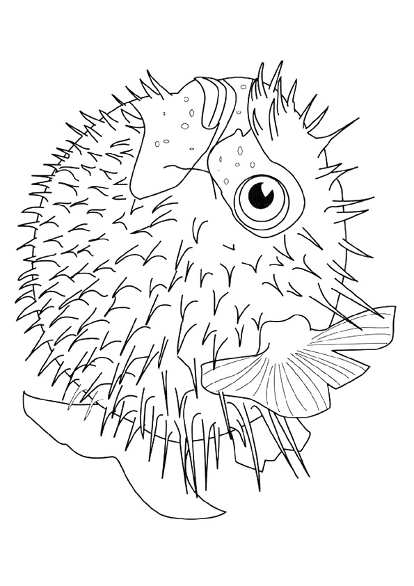 fish-coloring-page-0014-q2