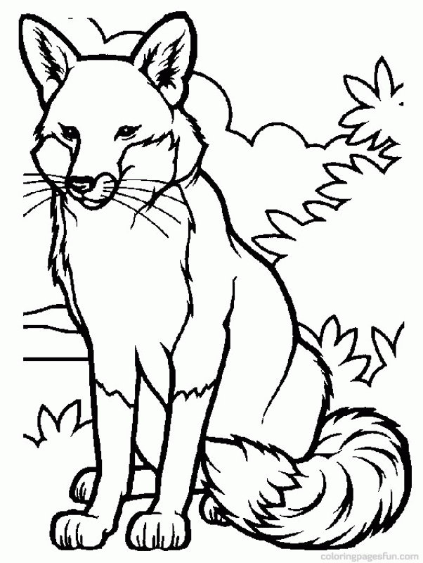 fox-coloring-page-0020-q1