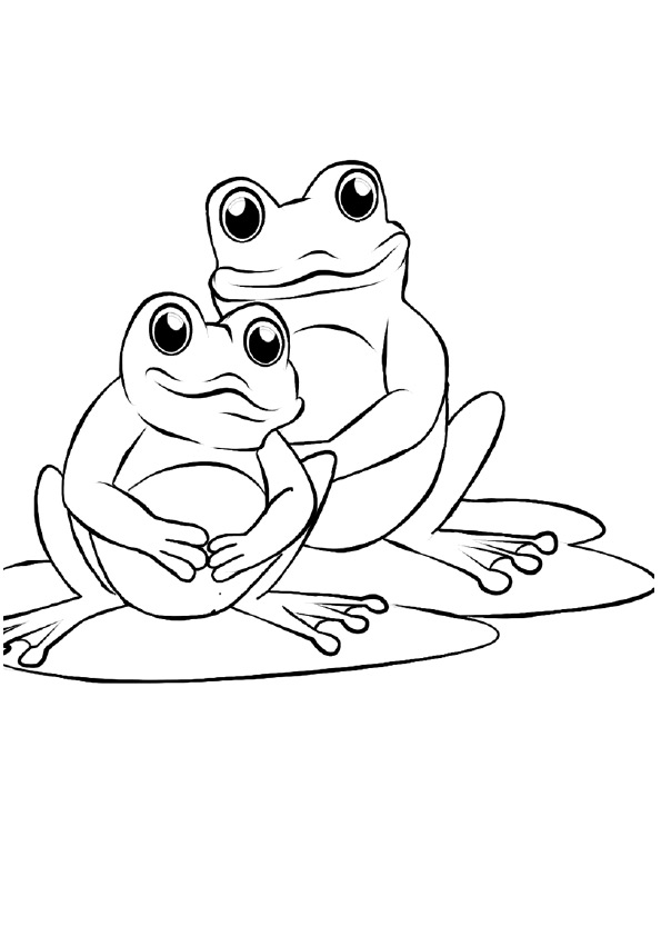 frog-coloring-page-0031-q2