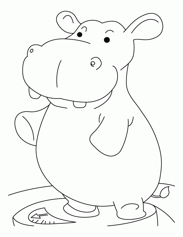 hippo-coloring-page-0031-q1