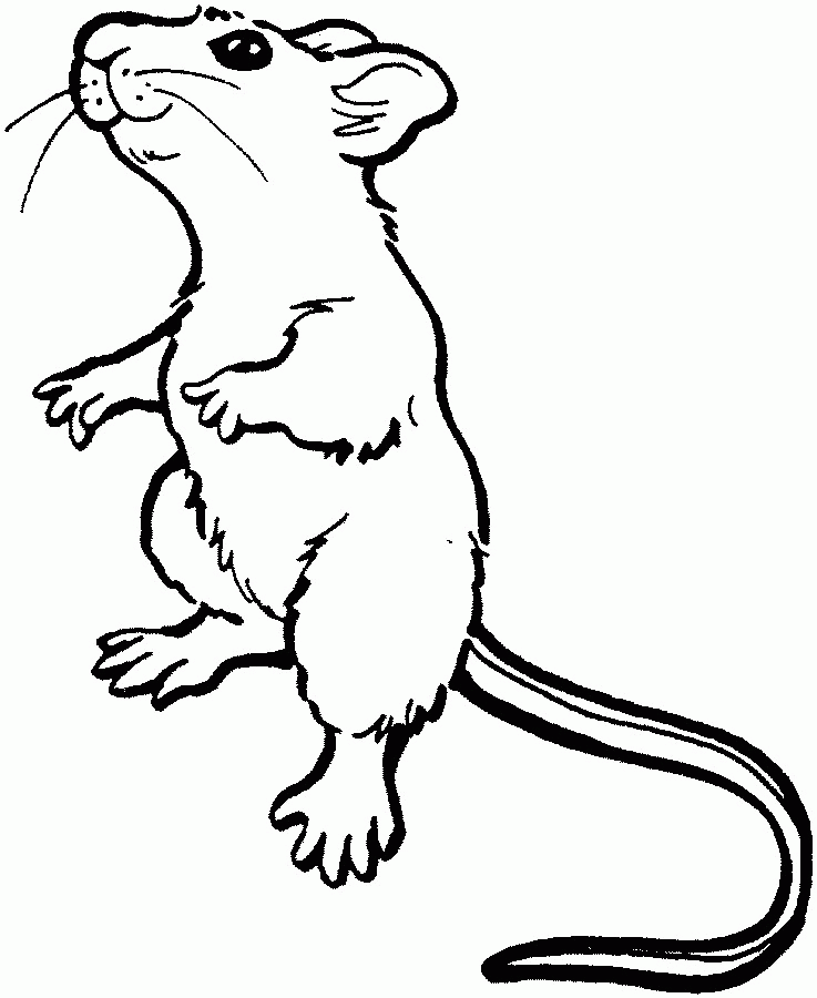 mouse-coloring-page-0009-q1