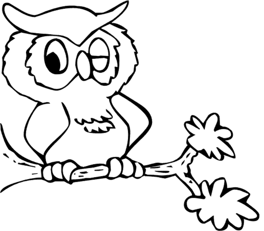 owl-coloring-page-0025-q1