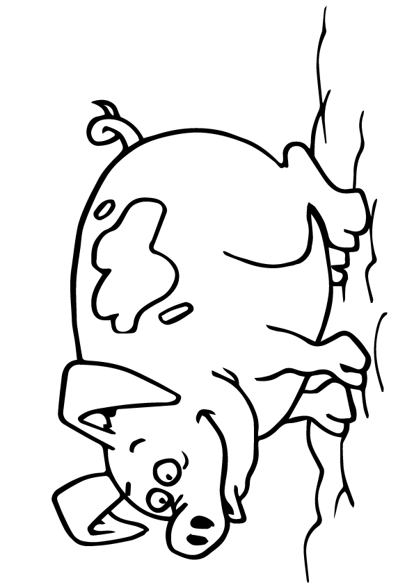 pig-coloring-page-0011-q2