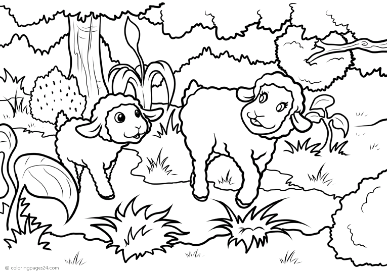 sheep-coloring-page-0019-q3