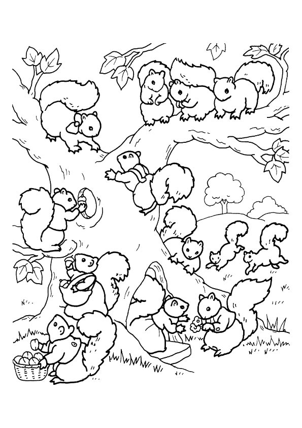squirrel-coloring-page-0003-q2