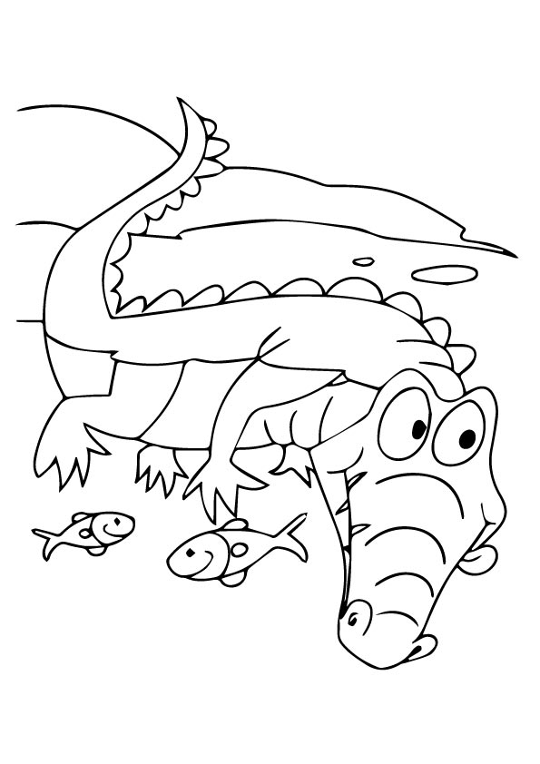 alligator-coloring-page-0027-q2