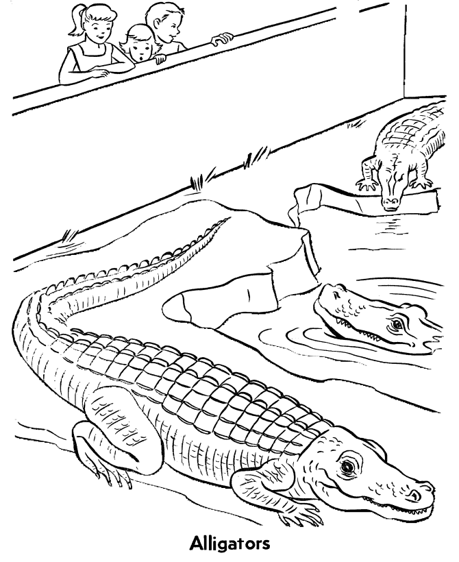 alligator-coloring-page-0034-q1