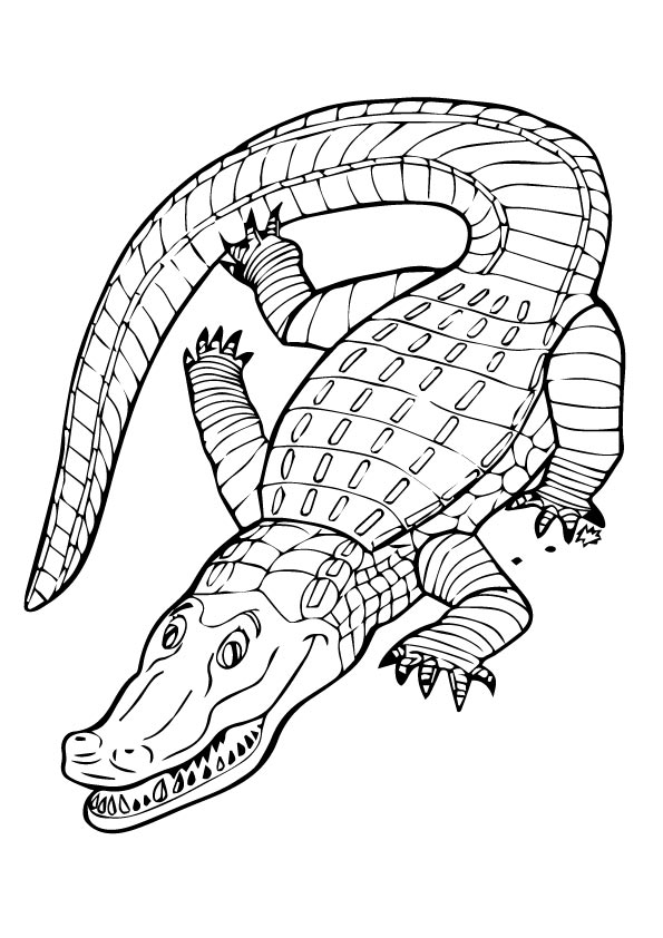 alligator-coloring-page-0055-q2