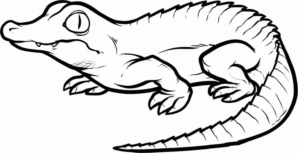 alligator-coloring-page-0057-q1