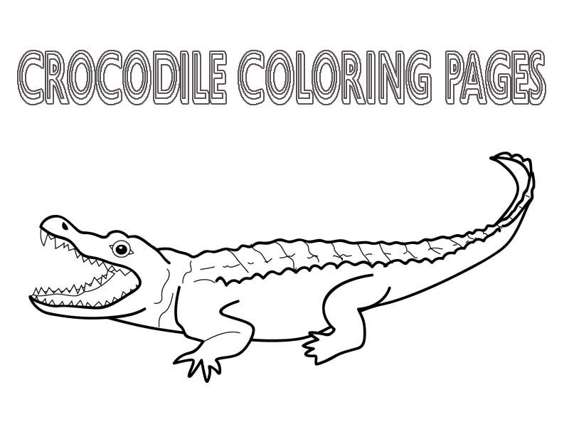 alligator-coloring-page-0058-q1