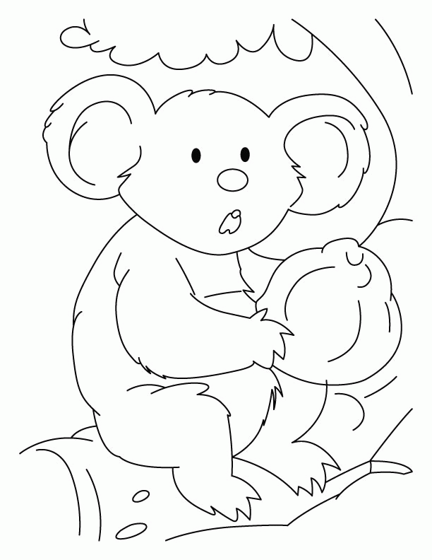 koala-coloring-page-0008-q1