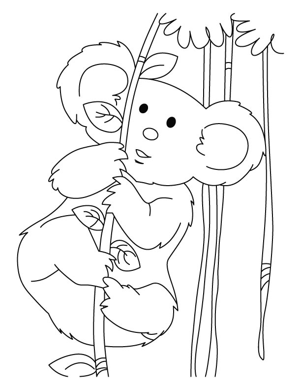 koala-coloring-page-0015-q1