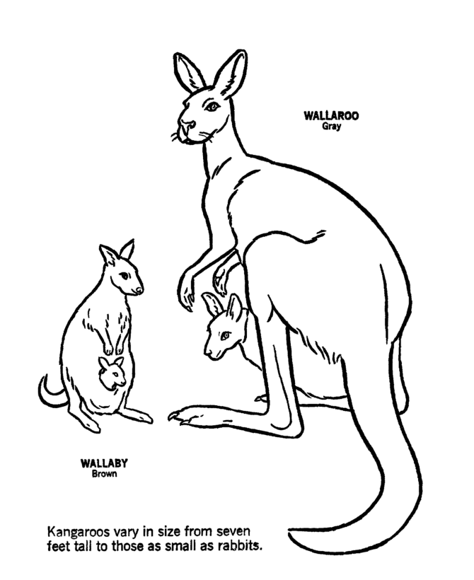 australia-coloring-page-0007-q1