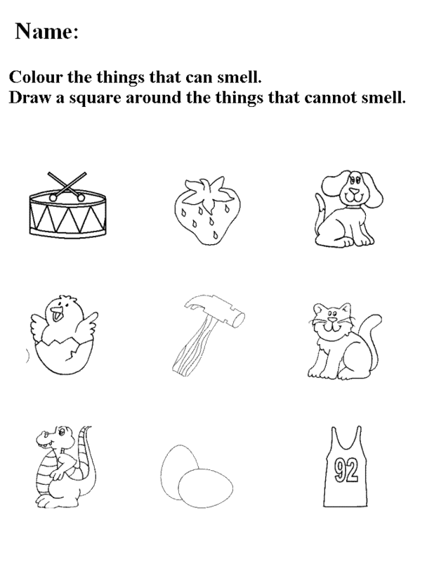 5-senses-coloring-page-0012-q1