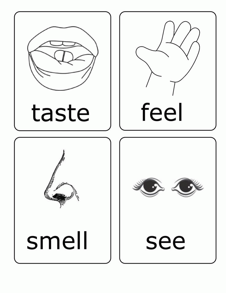 5 Senses Coloring Pages Books 100 FREE And Printable 5 Senses Coloring Pages Books 100 FREE And Printable