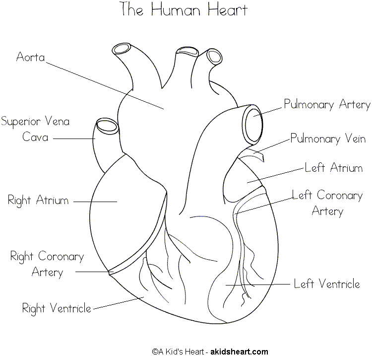 Biology