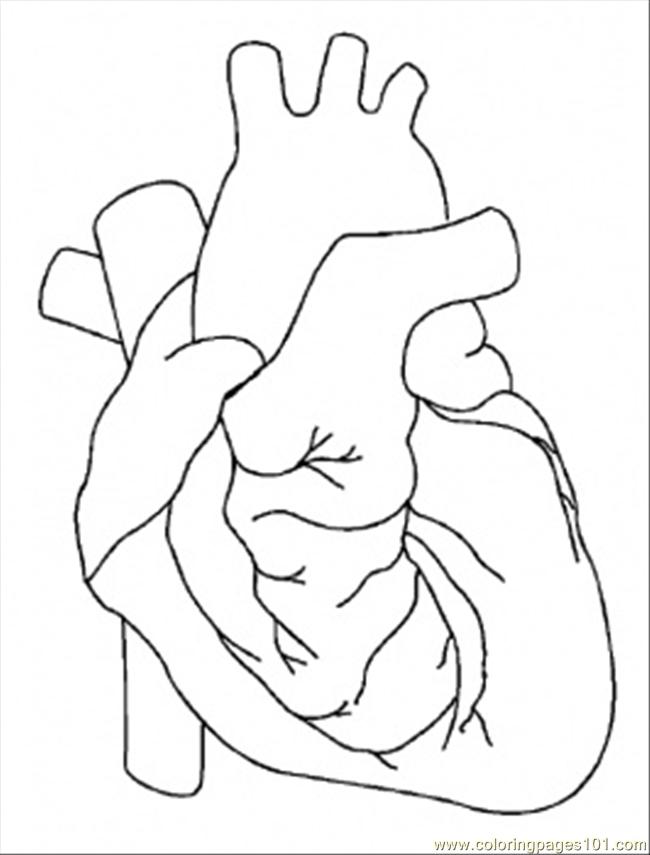biology-coloring-page-0008-q1